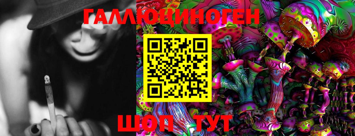 Псилоцибиновые грибы Cubensis Лесной