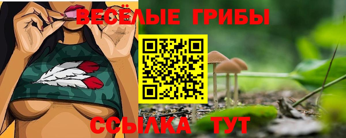 Лесной  Галлюциногенные грибы мицелий  Вход с VPN  цена наркотик  Галлюциногенные грибы прущие грибы 